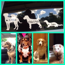 Custom orders and client photos