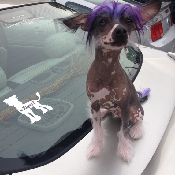 crested_mandy_and_rupert.jpg