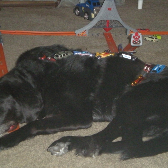 dscn7909.jpg