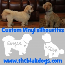 Ginger and Olive Ginger and Olive